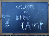 Bird Camp 2024 – The Soc