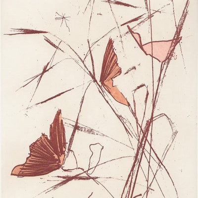 Meadow Butterflies